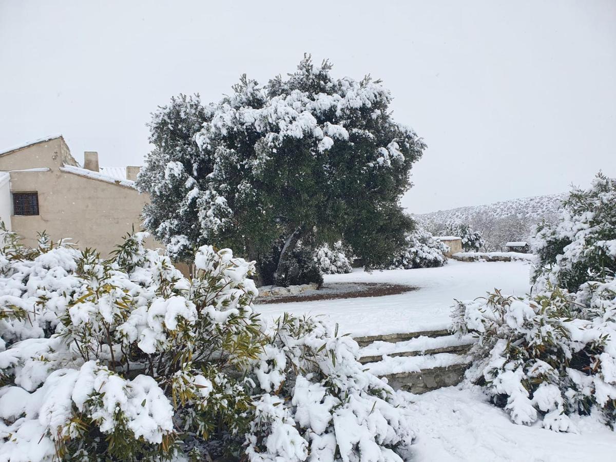 Amanece Monegrillo Apartamentos エクステリア 写真